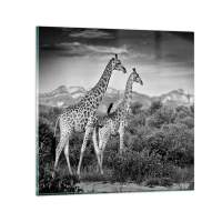 30x30 cm | Négyzetes