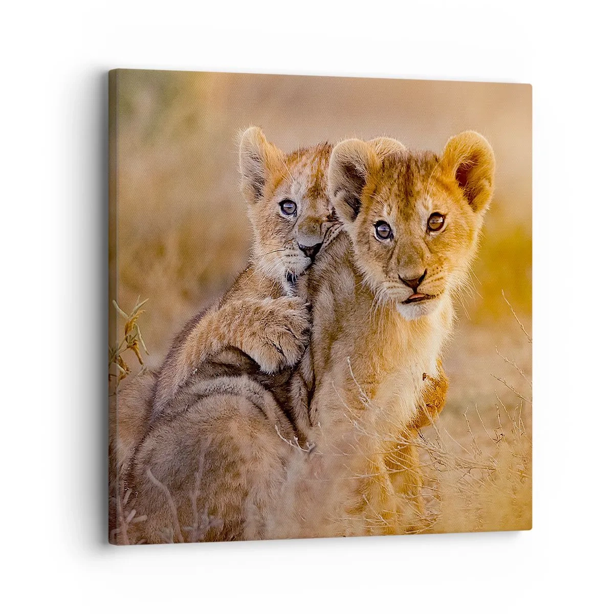 Vászonkép - Ne zavarni! Szórakozunk - 30x30 cm