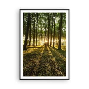 Poszter fehér keretben - Minden tavasz fotója - 70x100 cm