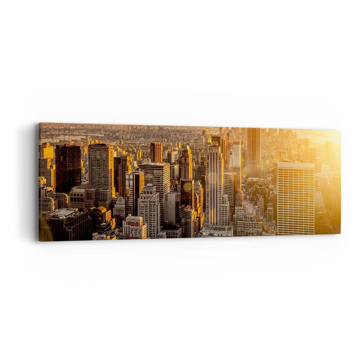 Vászonkép - Növekedni a napon - 90x30 cm