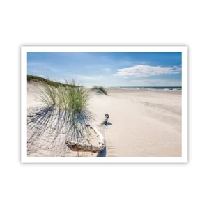 Poszter - A leggyönyörűbb? A Balti - 100x70 cm