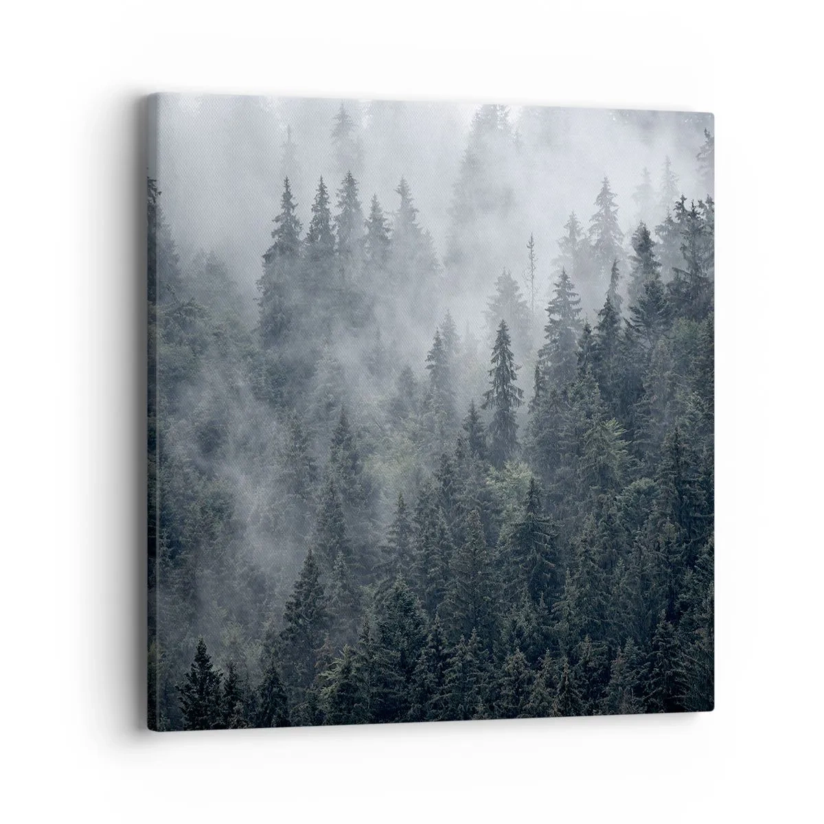 Vászonkép - Erdei hajnal - 40x40 cm