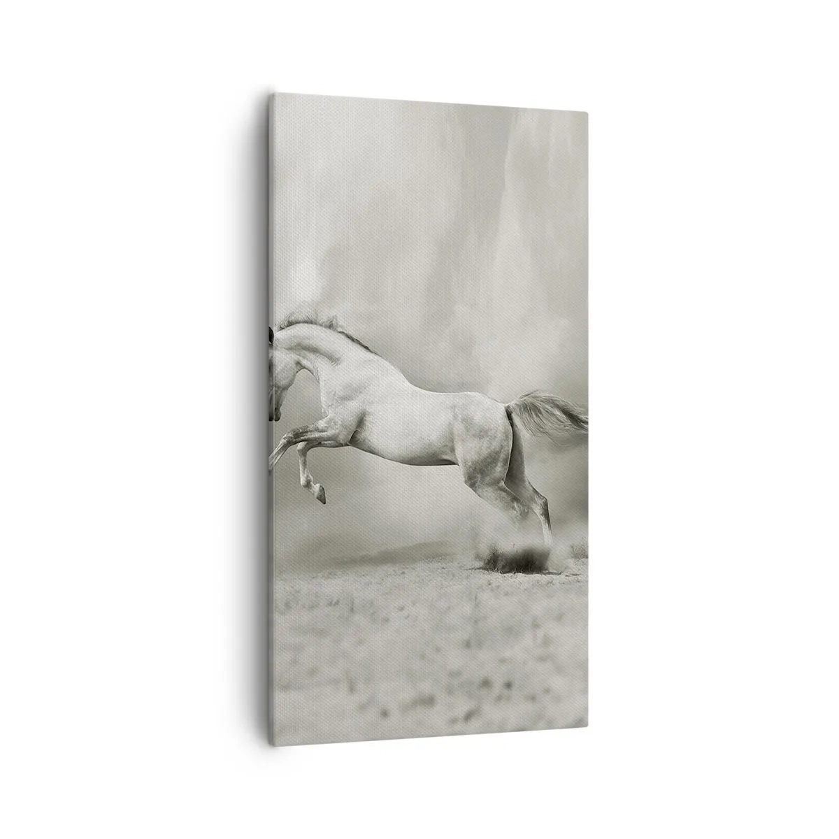 Vászonkép - Ébredés és alvás között - 55x100 cm