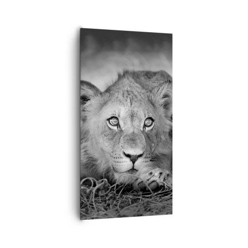 Vászonkép - Királyi kölyök - 65x120 cm