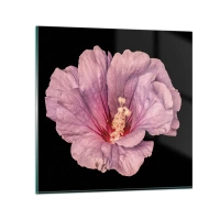 50x50 cm | Négyzetes