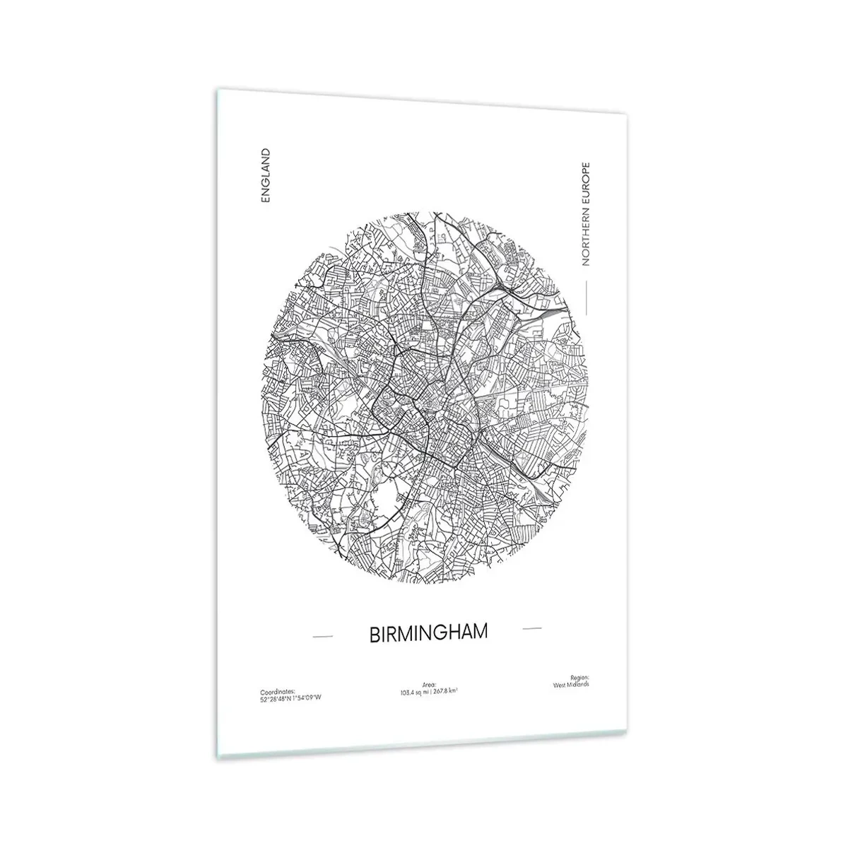 Üveg kép - Birmingham anatómiája - 70x100 cm