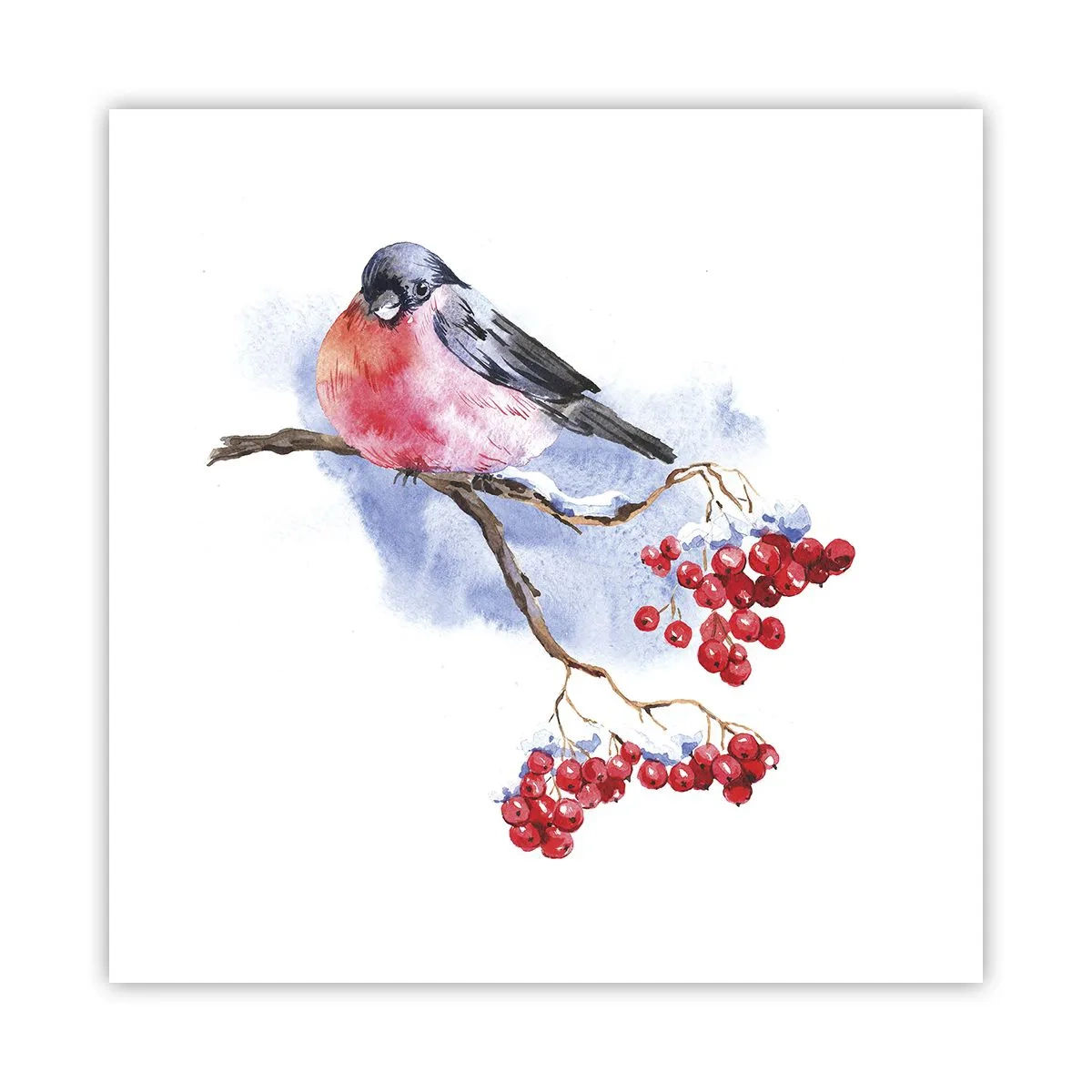 Poszter - Téli színben - 50x50 cm