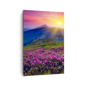 Vászonkép - … És körülötte hegyi fenyő és gyógynövények illata - 70x100 cm