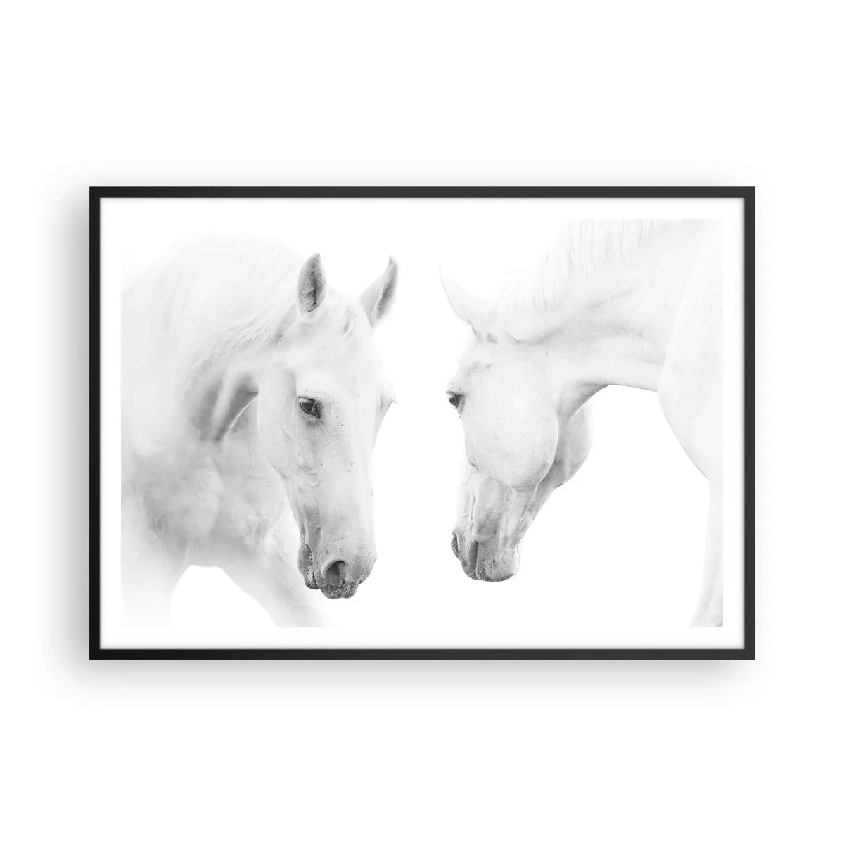 Poszter fehér keretben - Ez a barátság...? - 100x70 cm