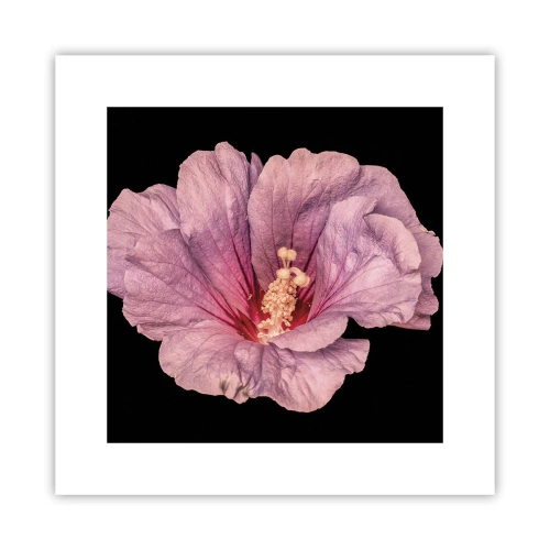 Poszter - Egyenesen a szív felé - 30x30 cm