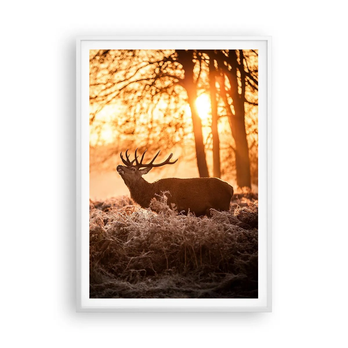 Poszter fekete keretben - Vadász álma - 70x100 cm