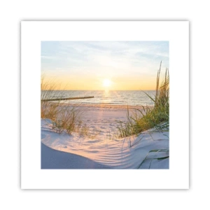 Poszter - A tenger hangja, a madarak éneke, egy vad tengerpart a fű között... - 30x30 cm