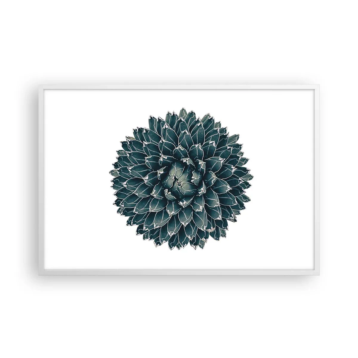 Poszter fekete keretben - A sivatag csillaga - 91x61 cm