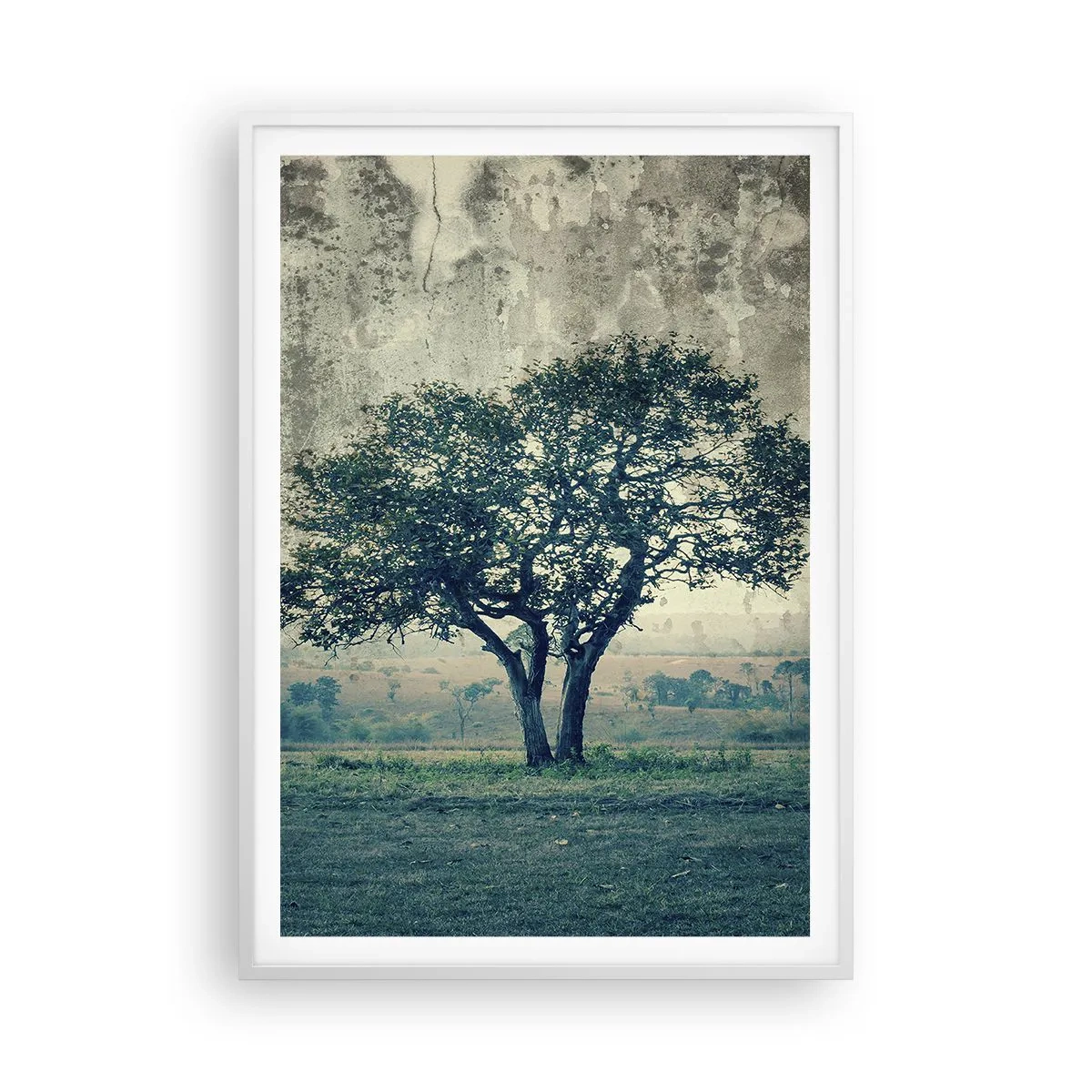 Poszter fekete keretben - Almafa a kék mezőn? - 70x100 cm