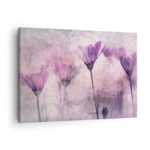 Vászonkép - Finom virágok lila árnyalatokban, világos háttér előtt - 70x50cm - A virágok álma  - Modern fali dekoráció nappalihoz és hálószobához ARTTOR
