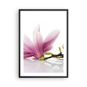 Poszter fehér keretben - Rózsaszín magnólia virág egy ágon, fehér háttérrel - 50x70cm - Gyengéd, mint a tavaszi szellő - Modern fali dekoráció nappalihoz és hálószobához ARTTOR