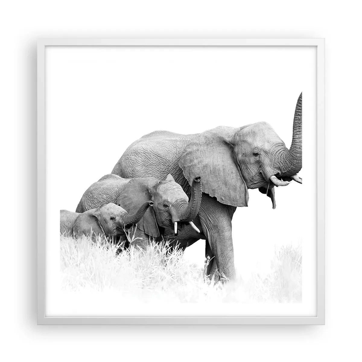 Poszter fekete keretben - Egy, kettő, három - 60x60 cm