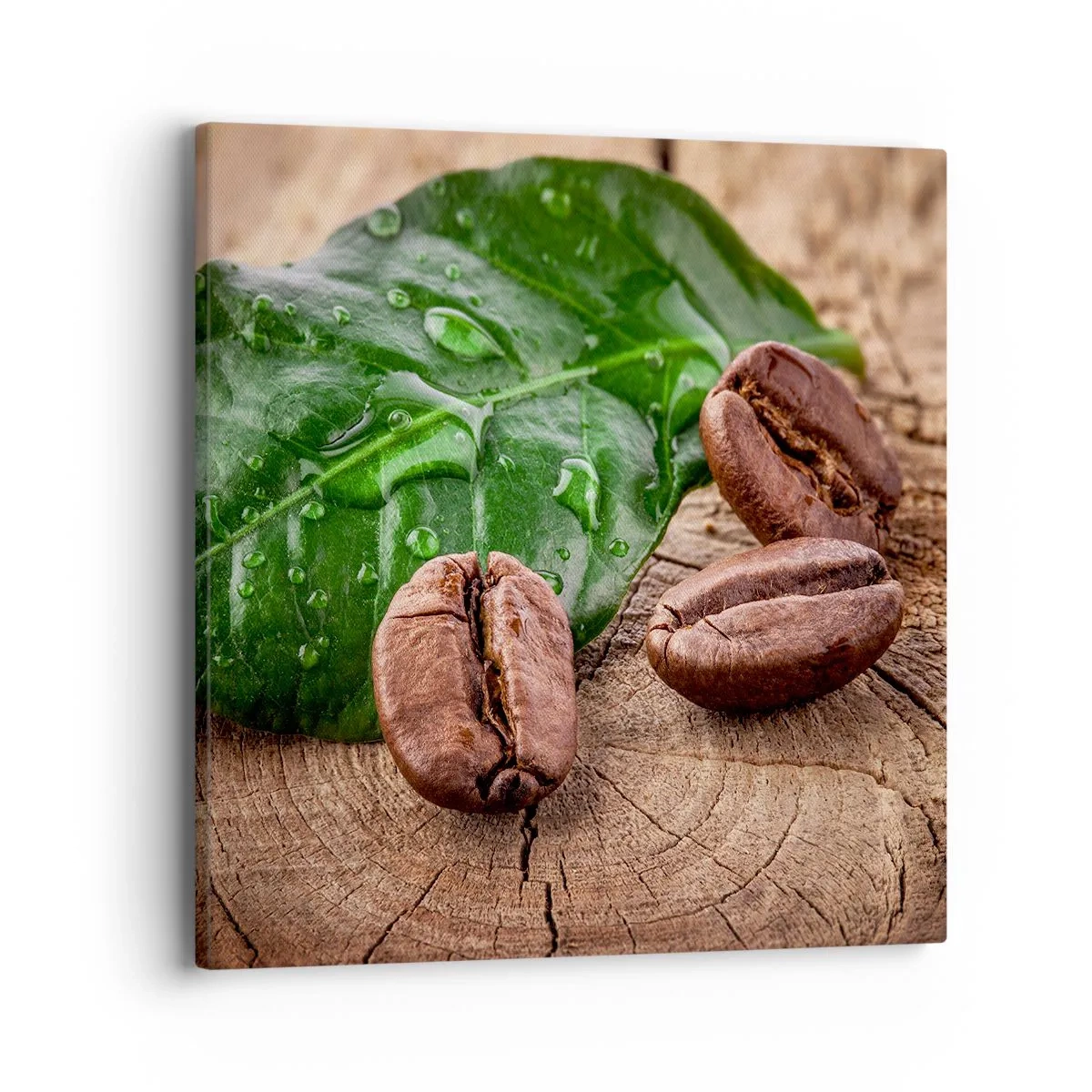 Vászonkép - A legigazibb és fekete - 40x40 cm