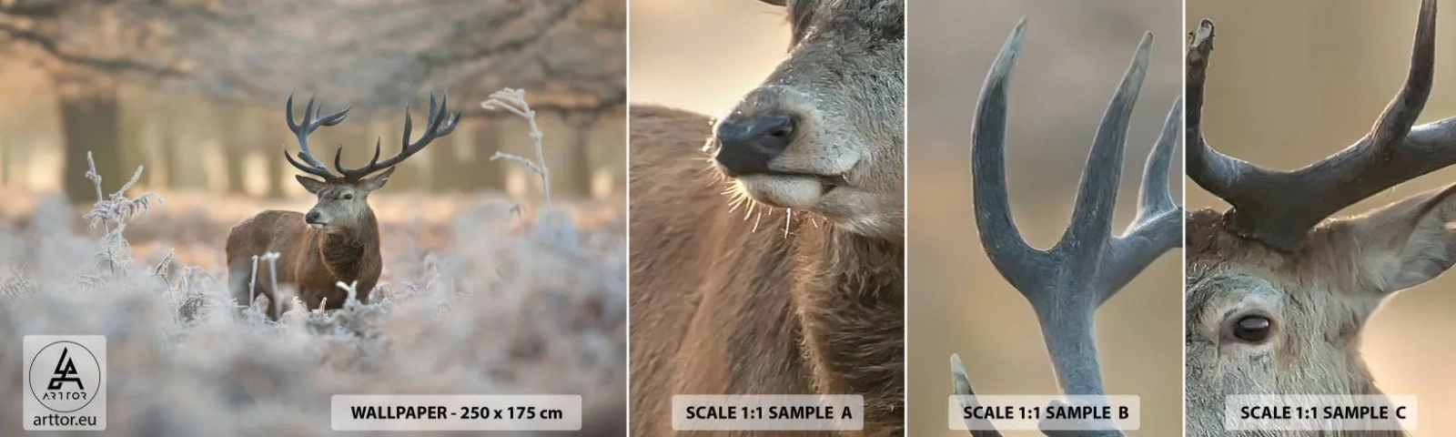 Fotótapéta Minta Öntapadós Deluxe Sticker - Friss reggel - Tájkép, Szarvas, Állatok - 100x30 cm