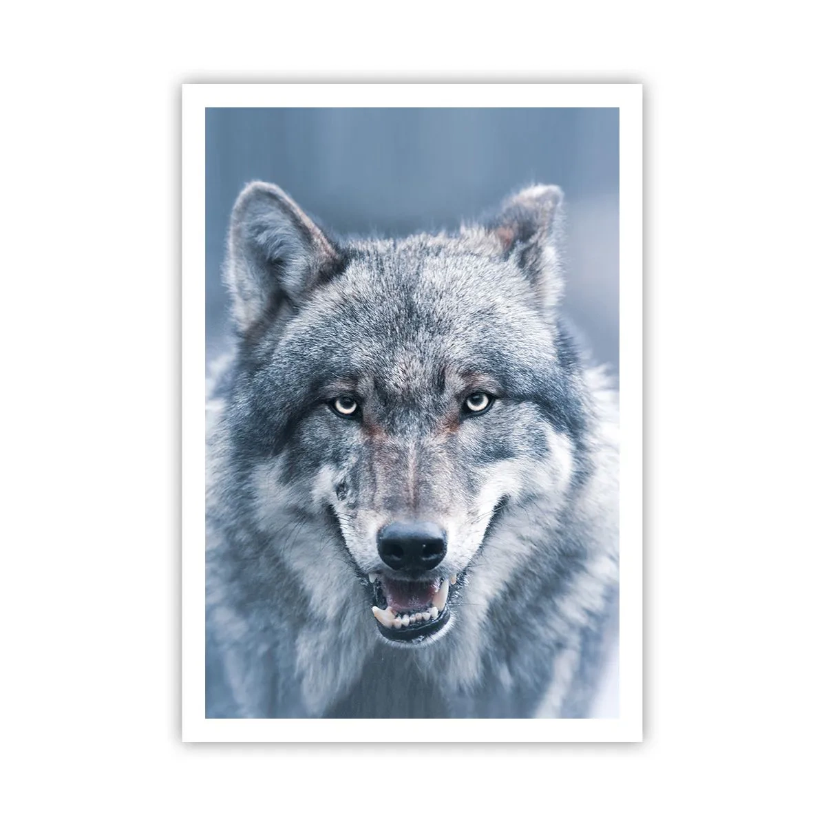 Poszter - Vállalod a kihívást? - 70x100 cm