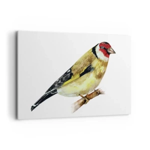 Vászonkép - Madárportré - 120x80 cm