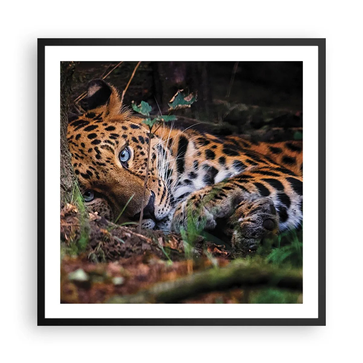 Poszter fehér keretben - Bízz bennem - 60x60 cm