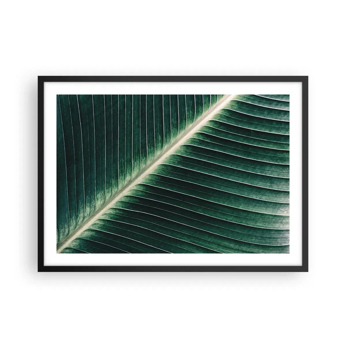 Poszter fehér keretben - A természet ritmusa - 70x50 cm