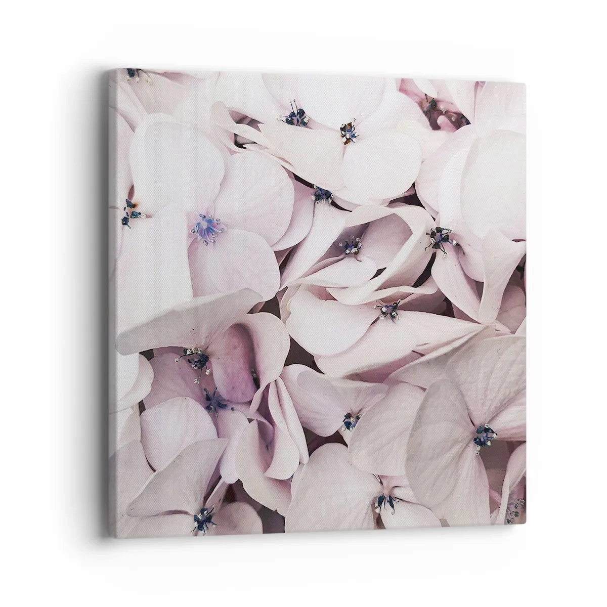 Vászonkép - A virágok áradatában - 40x40 cm