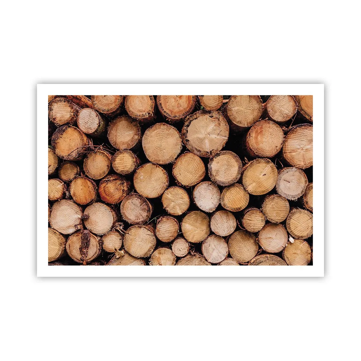 Poszter - Egy új kezdet - 91x61 cm