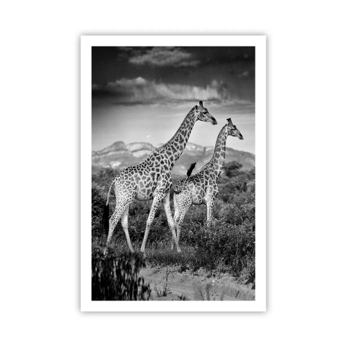 Poszter - Magas rangok Afrikában - 61x91 cm