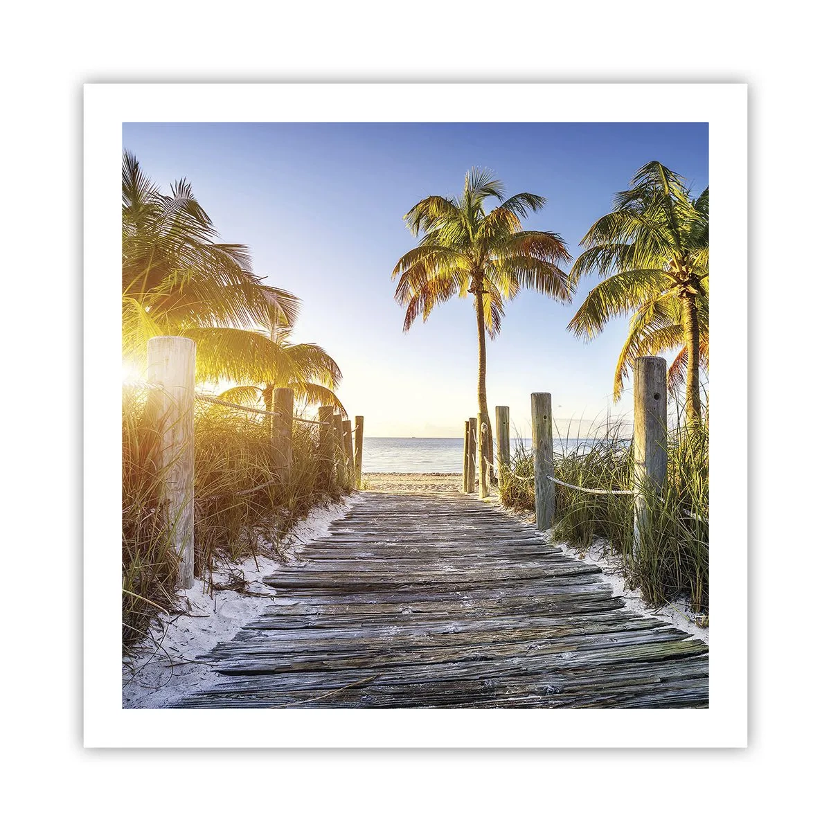 Poszter - Egyenesen a paradicsomba - 60x60 cm