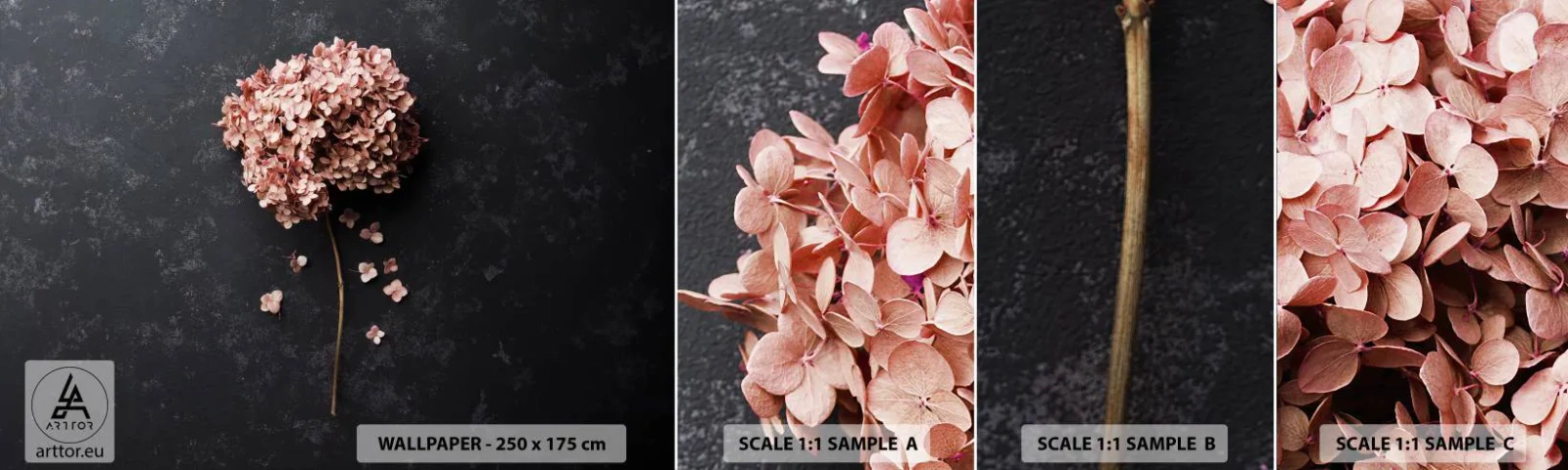 Fotótapéta Minta Standard Eco - Egy igazán romantikus jel - Virág, Hortenzia, Természet - 100x30 cm