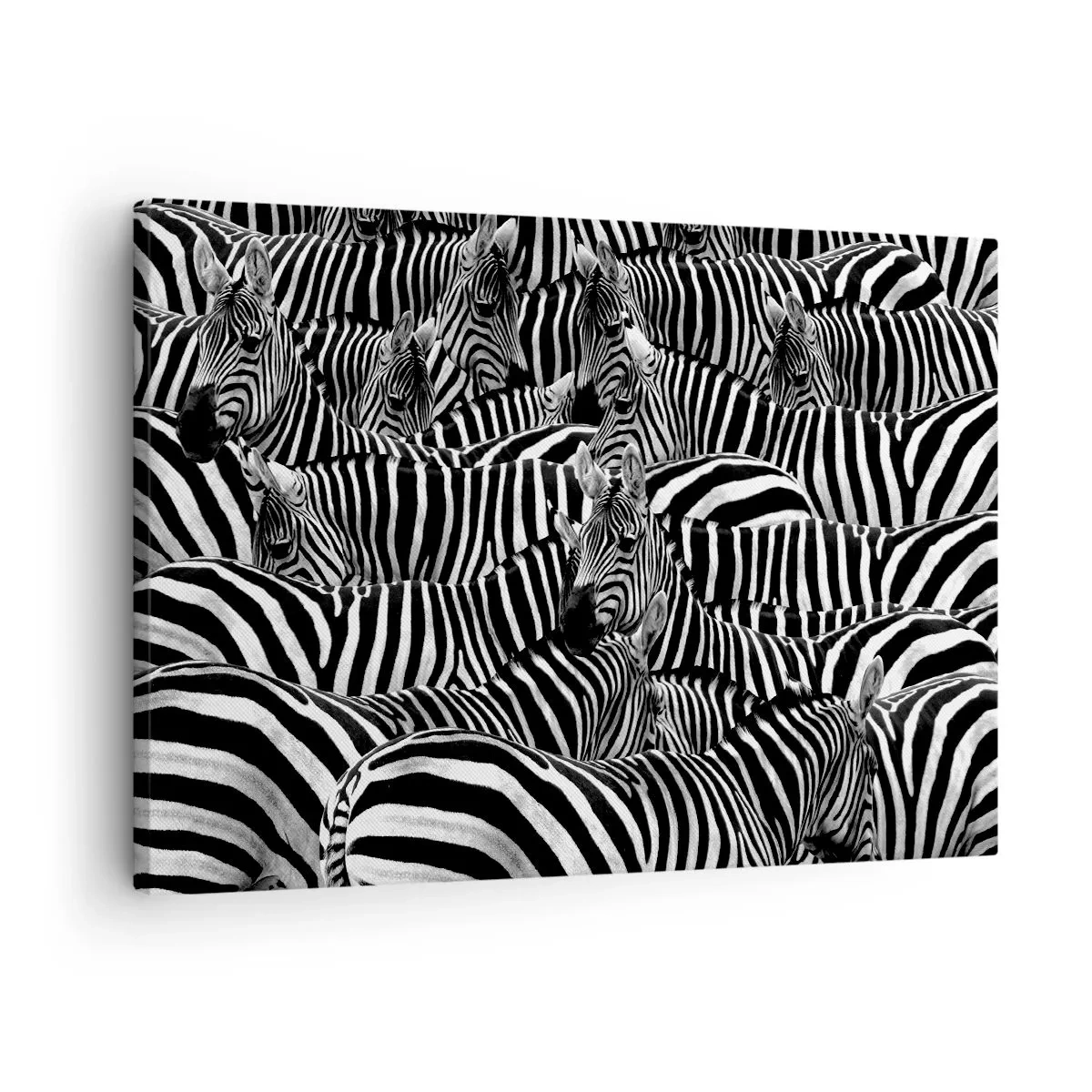 Vászonkép - Egy csoport zebrák fekete-fehér csíkokkal, amelyek szimmetrikus mintázatot hoznak létre. - 70x50cm - Csoportos, csíkos portré - Modern fali dekoráció nappalihoz és hálószobához ARTTOR