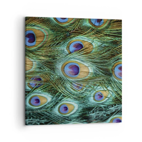 Vászonkép - Pávaszemű pillantás - 70x70 cm