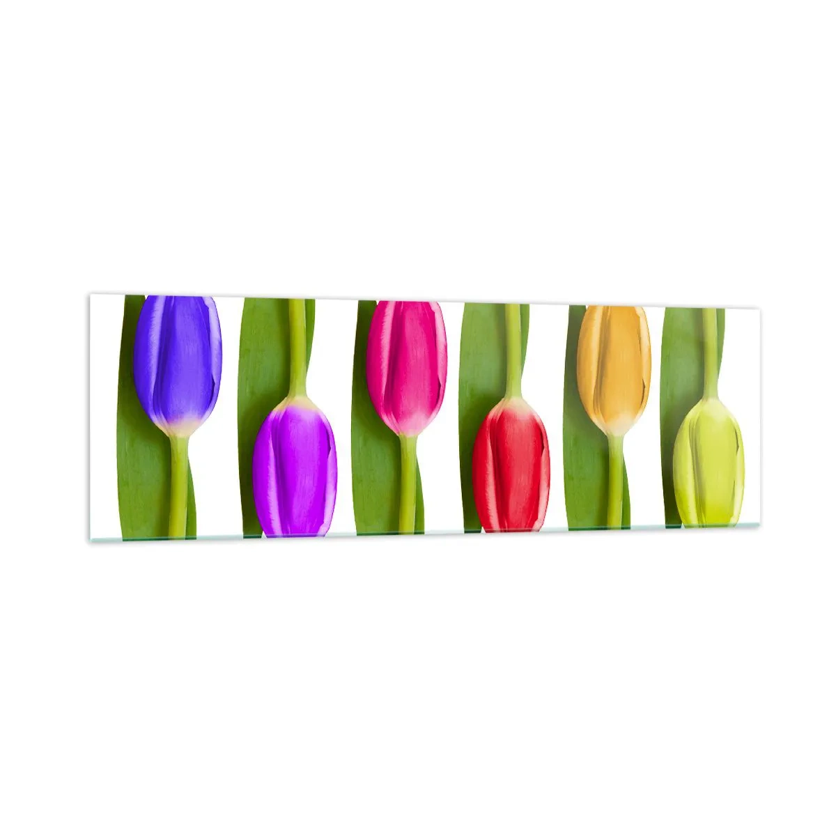 Üveg kép - Szivárvány kompozíció - 160x50 cm