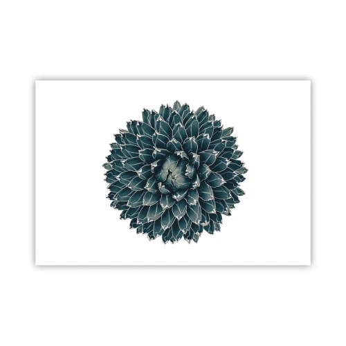 Poszter - A sivatag csillaga - 91x61 cm