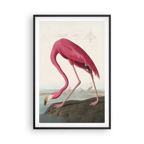 Poszter fehér keretben - Csodálatos teremtmény - 61x91 cm