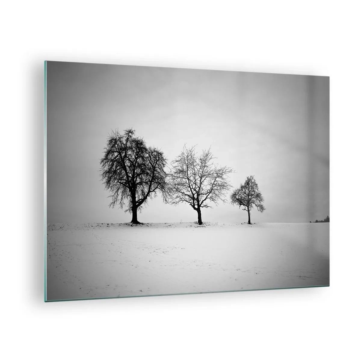 Üveg kép - Három magányos fa egy hófödte területen - 70x50cm - Miről álmodoznak? - Modern fali dekoráció nappalihoz és hálószobához ARTTOR