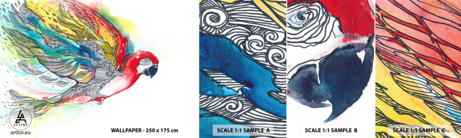 Fotótapéta Minta Standard Eco - Élj színesen - Madár, Papagáj, Színes tollak - 100x30 cm