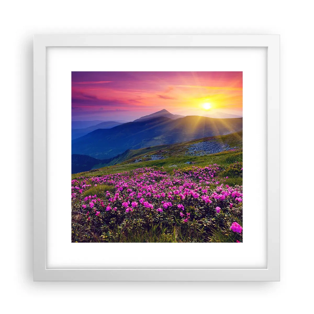 Poszter fekete keretben - … És körülötte hegyi fenyő és gyógynövények illata - 30x30 cm