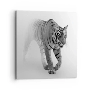 Vászonkép - Elrejtőzik a ködben - 70x70 cm