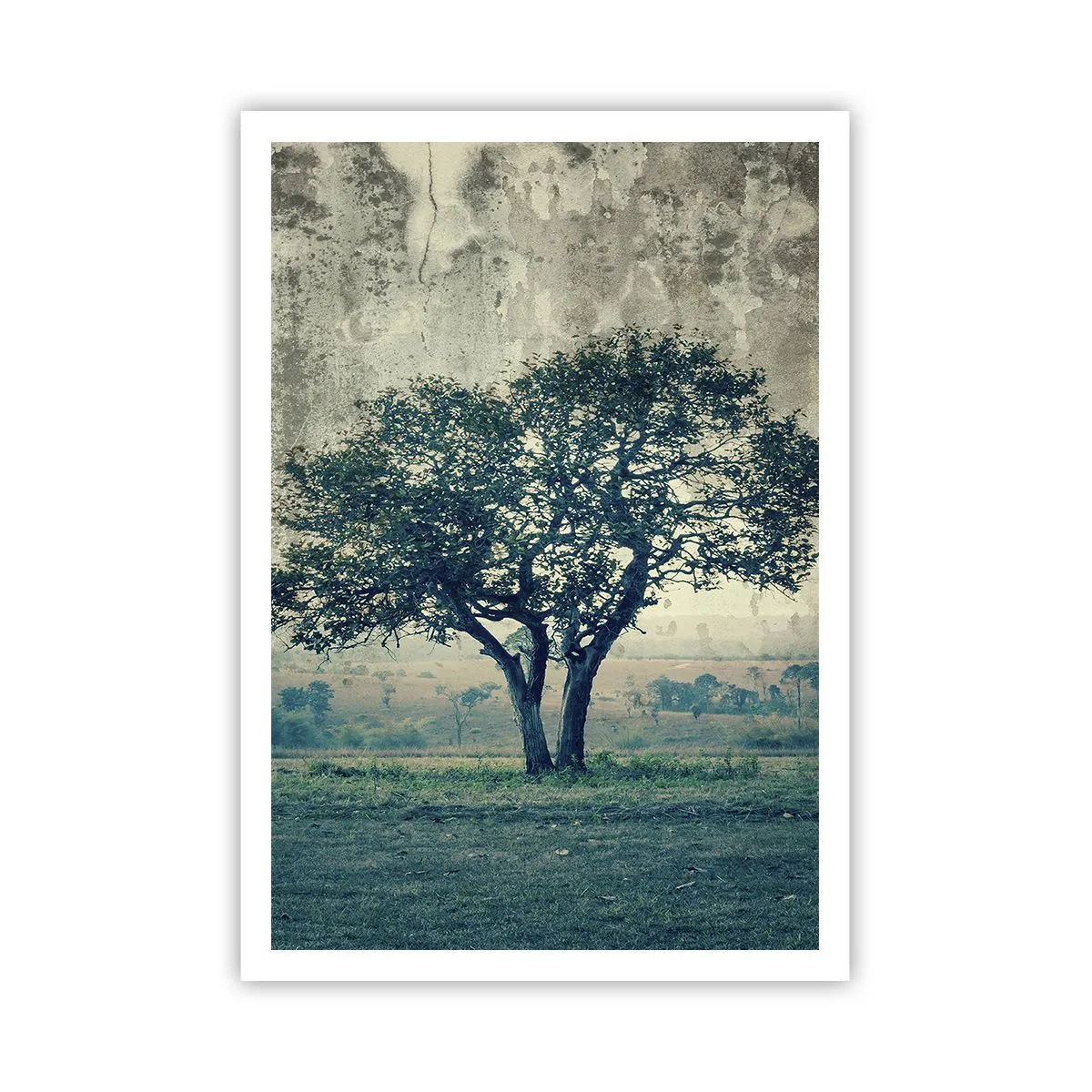 Poszter - Almafa a kék mezőn? - 70x100 cm