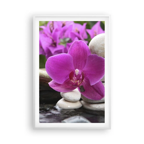 Poszter fekete keretben - Már pihensz - 61x91 cm