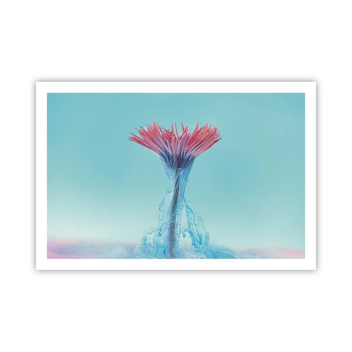 Poszter - Élénkítő ölelésben - 91x61 cm