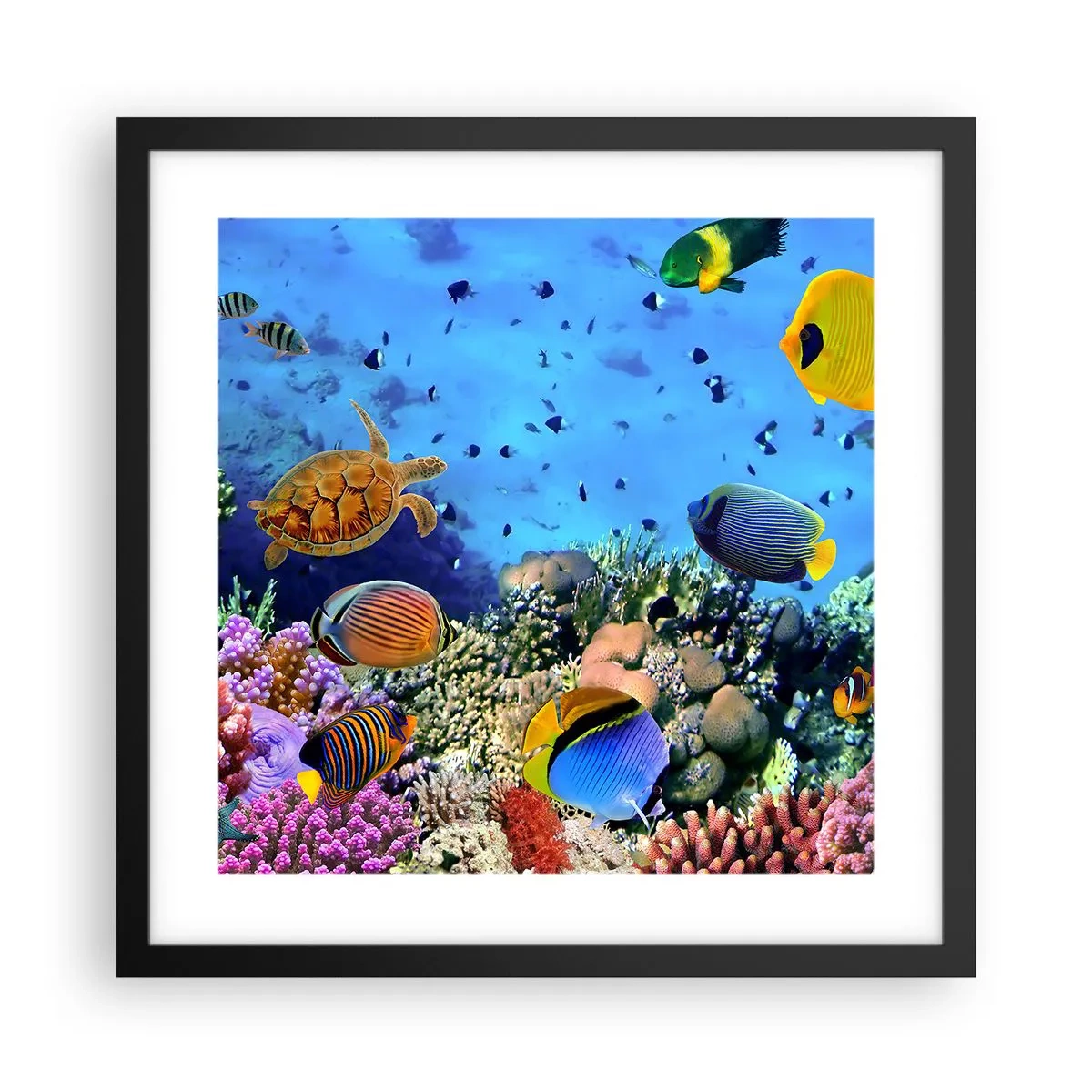 Poszter fehér keretben - És mit tudunk az életről... - 40x40 cm