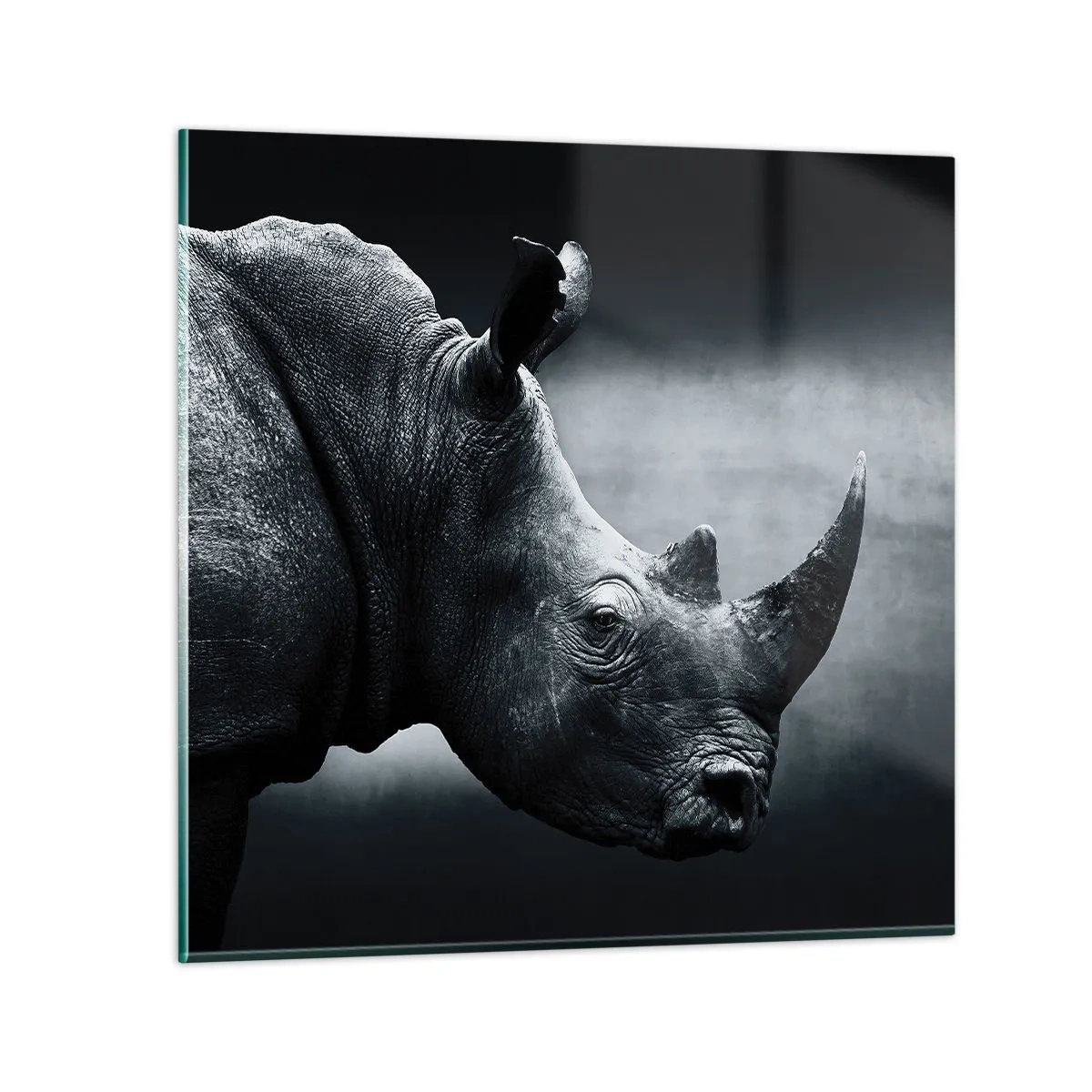 Üveg kép - Jobb profil - 60x60 cm