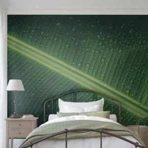 Fotótapéta Premium Sand - A növényzet szerkezete - Zöld levél, Trópusi növény, Darab - 450x315 cm