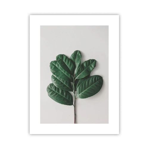 Poszter - Rajz csak a természetről - 30x40 cm