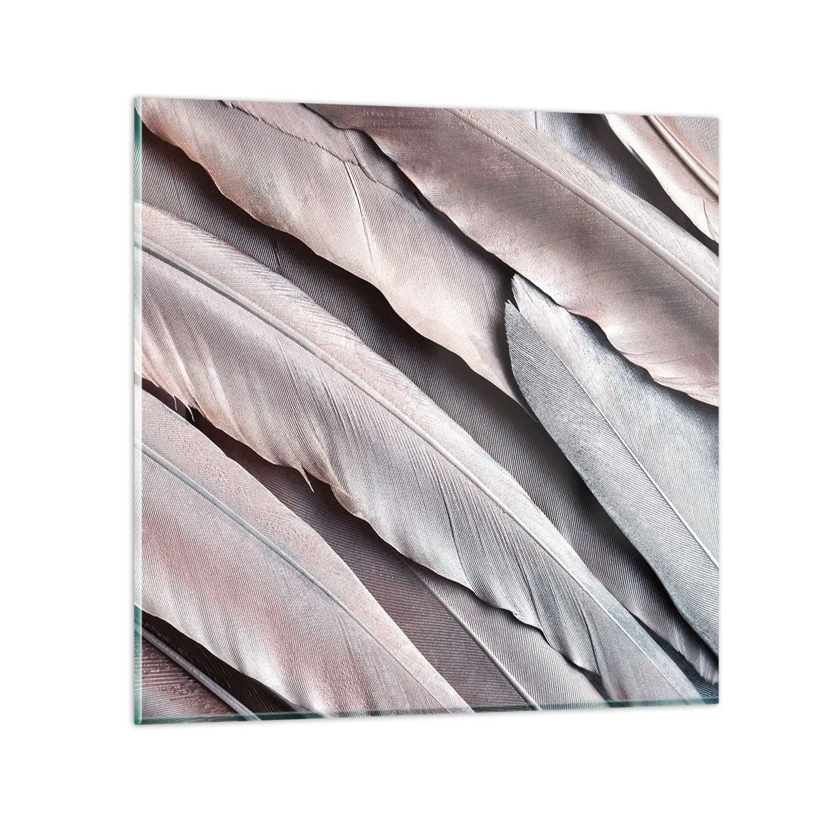 Üveg kép - Rózsaszín ezüstben - 70x70 cm