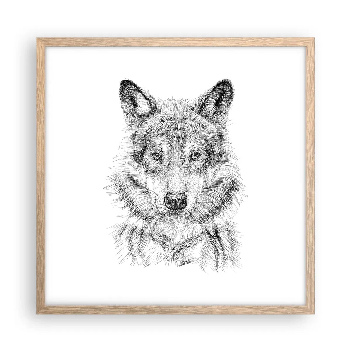 Poszter világos tölgy keretben - Született vezető - 50x50 cm